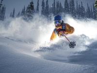 开云足球直播-波斯铁骑压境德甲新贵，伊朗资本如何重塑莱比锡红牛命运