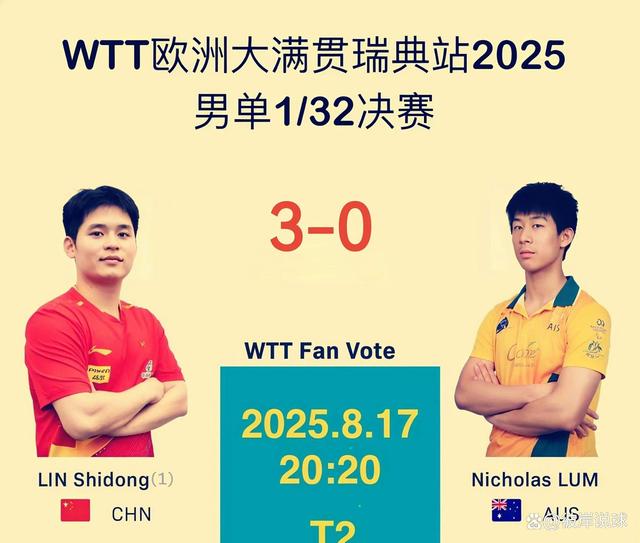 瑞典队在比赛中取得出色成绩，获得冠军